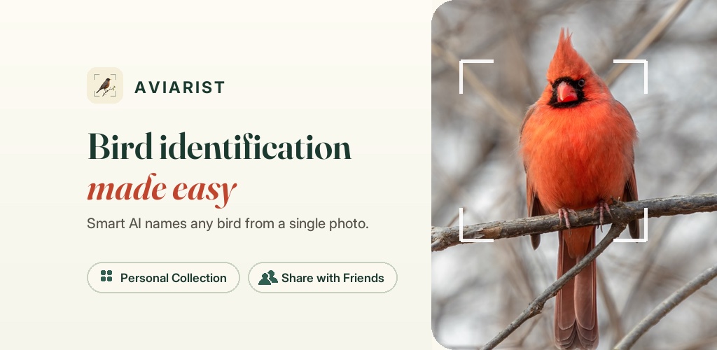 Aviarist — feature graphic from Google Play